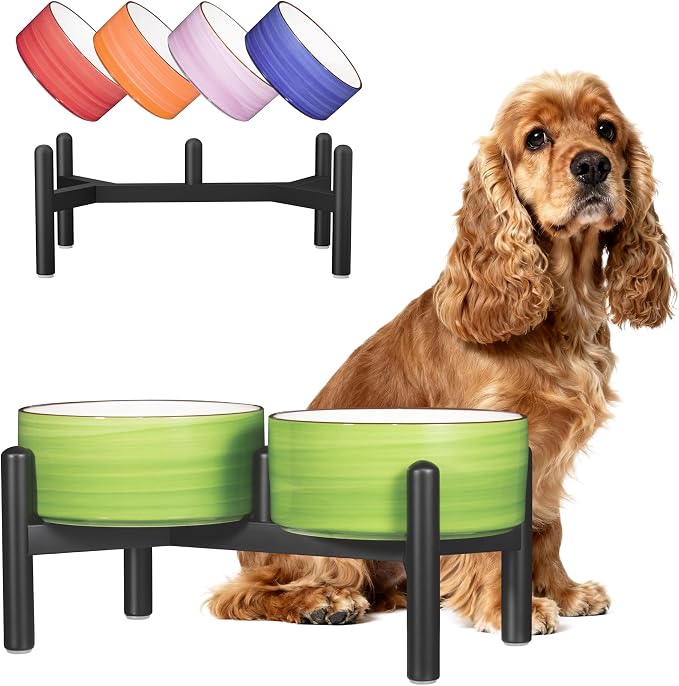 Ceramic Elevated Dog Bowl Set, 6.1''Raised Dog Food and Water Bowl Set with Non-Slip Stainless Steel Stand, Double Raised Dish for Small and Medium Breed, 3.5 Cups / 22 Fl Oz, Green