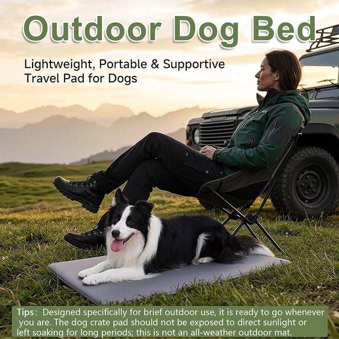 Outdoor Dog Crate Pad Bed, Reversible Waterproof Wipeable Kennel Mat, 35x22 | Wipeable Kennel Mat Pet Sleeping for Medium Large Dogs, Waterproof, Outdoor, Anti-Slip, Suit for Travel, Trunk, Dark Grey