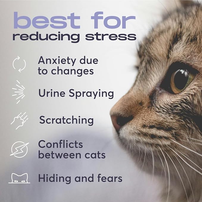 Cat Calming Diffuser Refills – Long-Lasting 30-Day Formula, Cat Pheromones Calming Diffuser for Stress Relief, Relaxation, and Anxiety Reduction, Easy to Use – (2 Diffusers + 2 Refills)