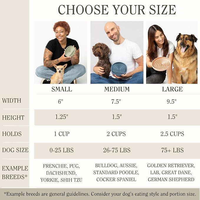Should We Go? Slow Feeder Dog Bowls - Medium Size Silicone Slow Eating Dog Bowl for Puppies & Dogs with Suction Cup -Dishwasher-Safe,Lick Mat Design,Reduces Gulping,for All Breeds,7.5”x1.5”- Charcoal