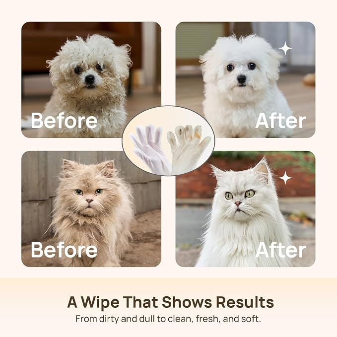 HICC PET Dog Wipes for Dogs & Cats, Individual Glove Packs, 6 Count | Travel-Ready, Head-to-Tail Grooming, No-Rinse Freshening, Plant-Based Formula, Fits Bags & Backpacks, Verbena Scent