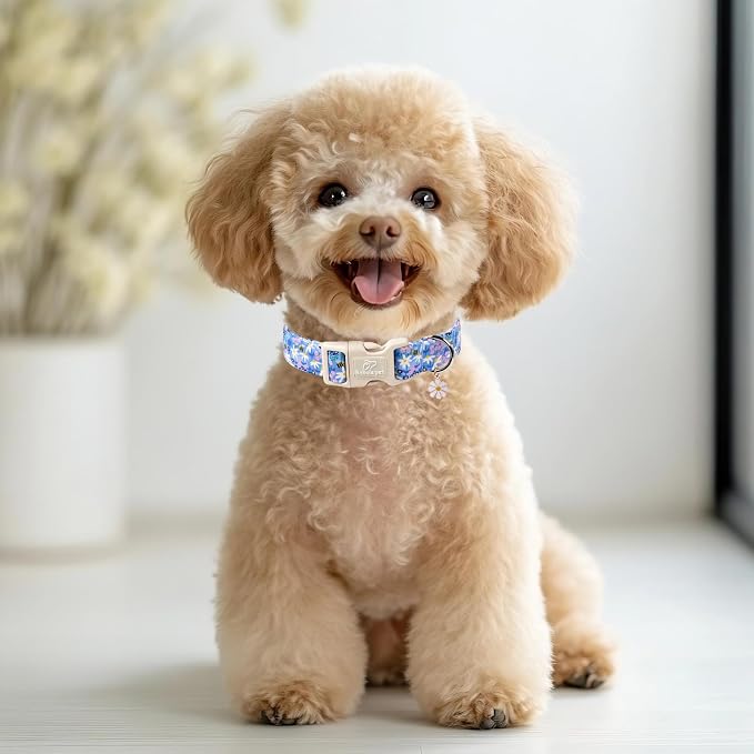 Floral Dog Collar for Medium Dogs - Cute Spring Dog Collars, Soft Lightweight Bee & Daisy Puppy Collar, Breathable Adjustable Male Female Blue Wildflowers Dogs Collars M