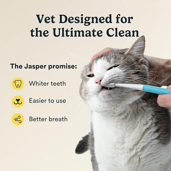 Jasper Microbrush Vet Approved Cat Toothbrush, Soft-Bristled Toothbrush Kit for Felines & Small Dogs, Non-Slip Handle with 2 Replaceable Tooth Brush Heads, Use with Cat Toothpaste, 2-Pack, Blue