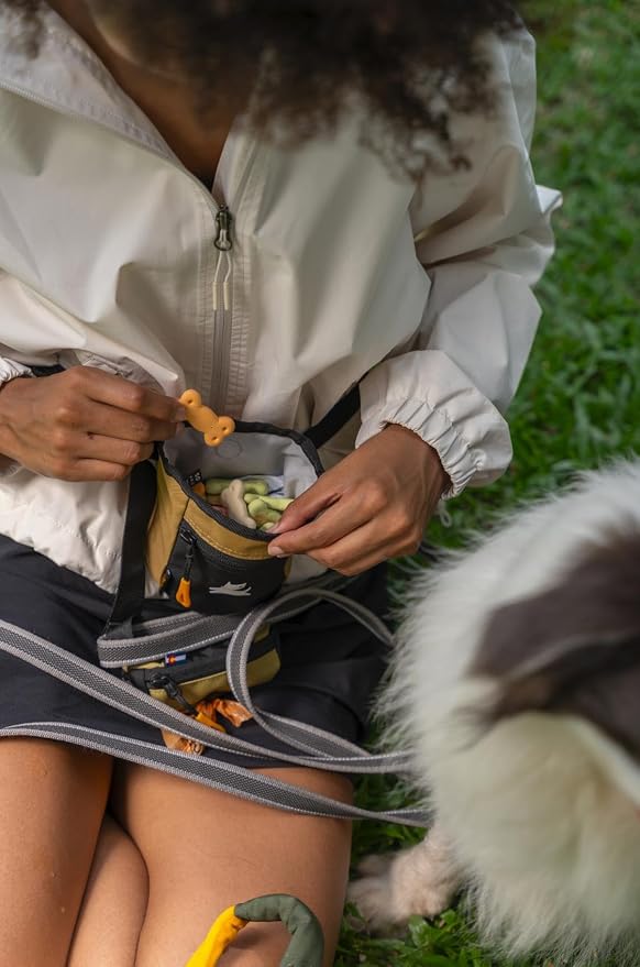 Goodie Treat Bag, Dog Treat Training Pouch | Magnetic Closure | 3 Ways to Wear | Hands-Free Waist Belt | Water-Resistant Recycled Vegan Fabric (Antelope)
