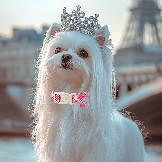 Girl Dog Collar, Bright Pink Glen Check Dog Collars for Puppy Small Dogs - Cute Spring Summer Plaid Pup Collar, Soft Adjustable Female Dog Collars with Quick Release Buckle XS