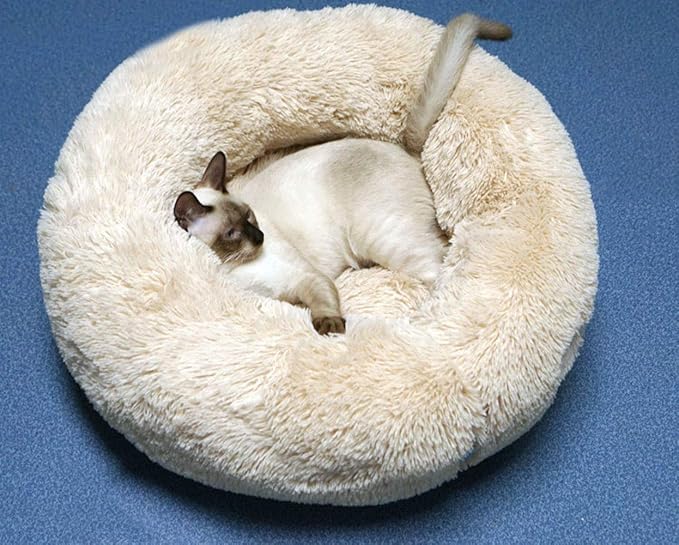 Modern Soft Plush Round Pet Bed for Cats or Small Dogs, Mini Medium Sized Dog Cat Bed Self Warming Autumn Winter Indoor Snooze Sleeping Cozy Kitty Teddy Kennel (20'' D x 8'' H, Champagne)