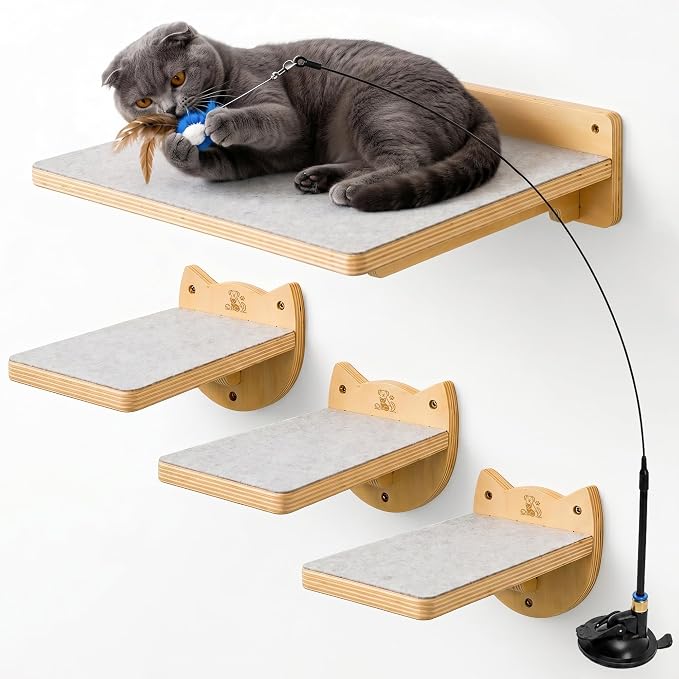 Snuggle & Play Cat Wall Shelves & Climbing System – Modern Furniture Set with 3 Steps & Perch for Indoor Cats, Includes Wand Toy