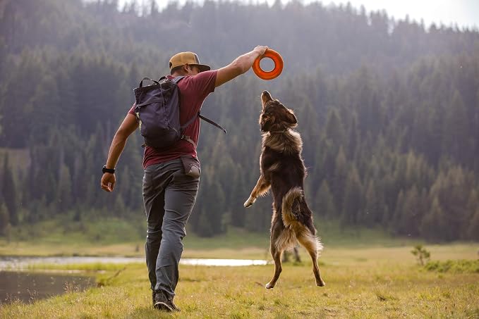 Ruffwear, Hydro Plane Dog Flying Disc, Soft Buoyant Foam Floating Fetch Toy, Lightweight Interactive Water & Snow Toy, Gentle on Teeth, Durable Year-Round Outdoor Play, Tangelo Orange, 9", Medium