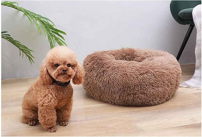 Modern Soft Plush Round Pet Bed for Cats or Small Dogs, Mini Medium Sized Dog Cat Bed Self Warming Autumn Winter Indoor Snooze Sleeping Cozy Kitty Teddy Kennel (24'' D x 8'' H, Coffee)