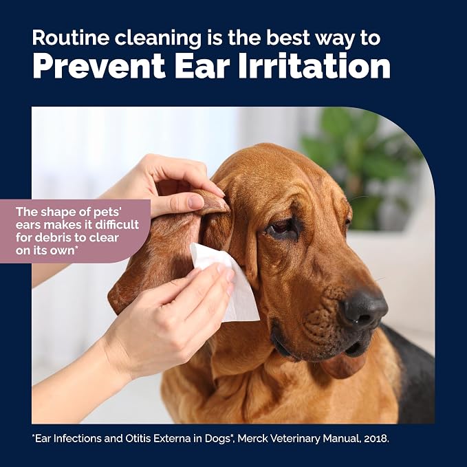 Vetnique Oticbliss XL Cat & Dog Ear Wipes, Ear Cleaner for Wax, Dirt & Odor | Pre-Moistened Large Ear Cleaning & Deodorizing Wipes With Salicylic Acid & Aloe Vera, Wipe Away Wax, Dirt & Odor, Cat-Safe