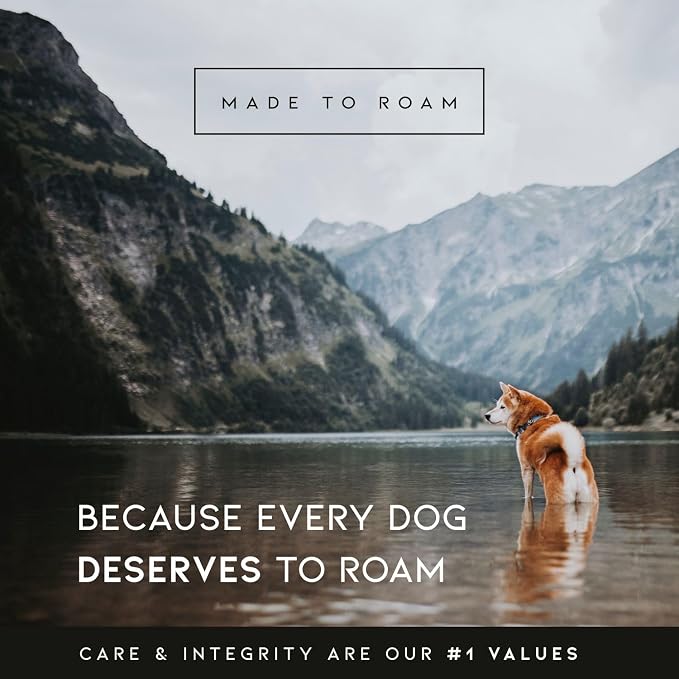 Made to ROAM Premium Dog Collar - Adjustable Heavy Duty Nylon Collar with Quick-Release Metal Buckle (Maine Marina, Classic Size 3)
