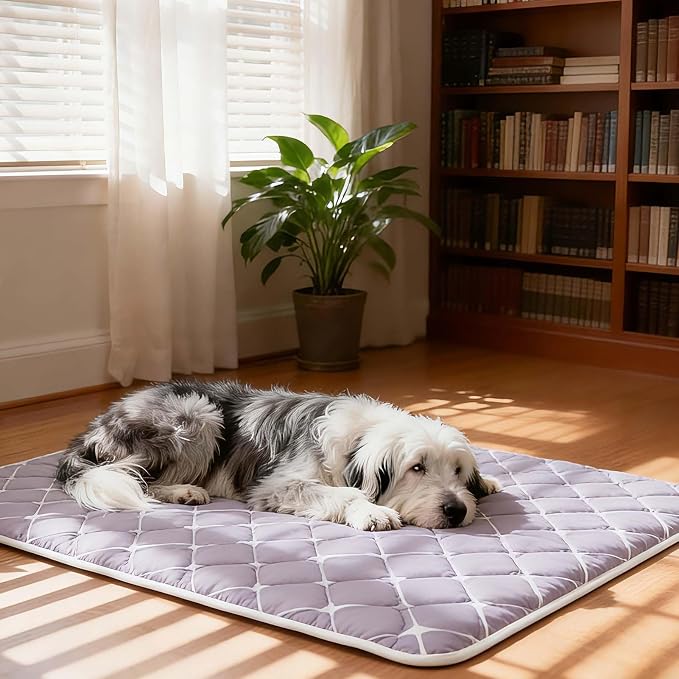 Bubble bear Dog Crate Mat - Ultra Soft, Washable & Anti-Slip Kennel Pad for Small/Medium/Large Dogs, Dark-Hued to Hide Stains (59"x35")