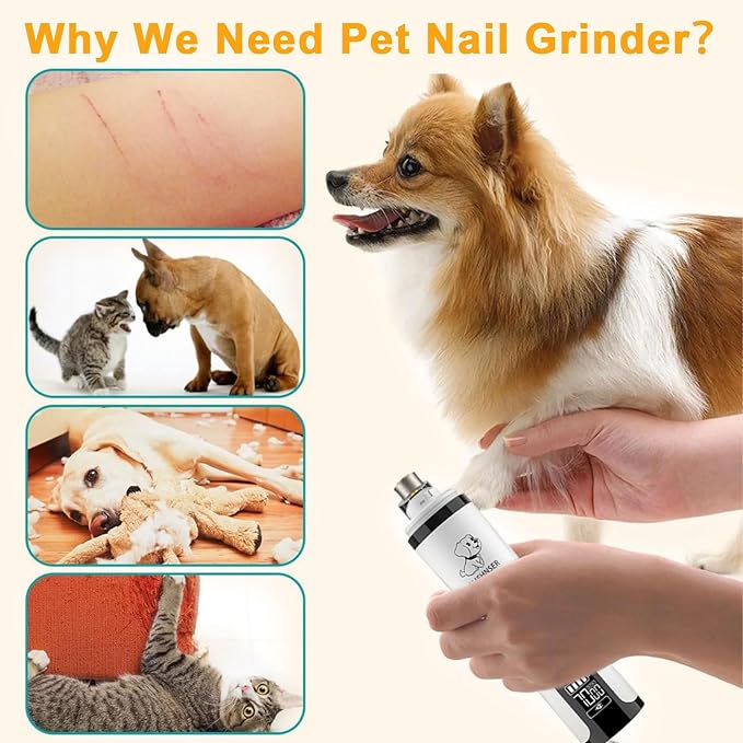 2026 Upgraded Silent Groom Pro Nail Grinder - 3-Speed Cordless Grooming Pro Nail Grinder, Pet Nail Trimmer with 2 LED Light,USB-C Rechargeable & 2 Grinding Wheels for Small Medium Large Dogs and Cats