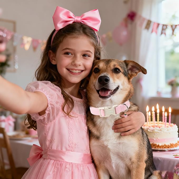 DOGWONG Pink Dog Collar, Spring Summer Girl Dog Collar with Plastic Buckle, Strawberry Striped Female Dogs Collars for Large Dogs, Neck 42-66 inches