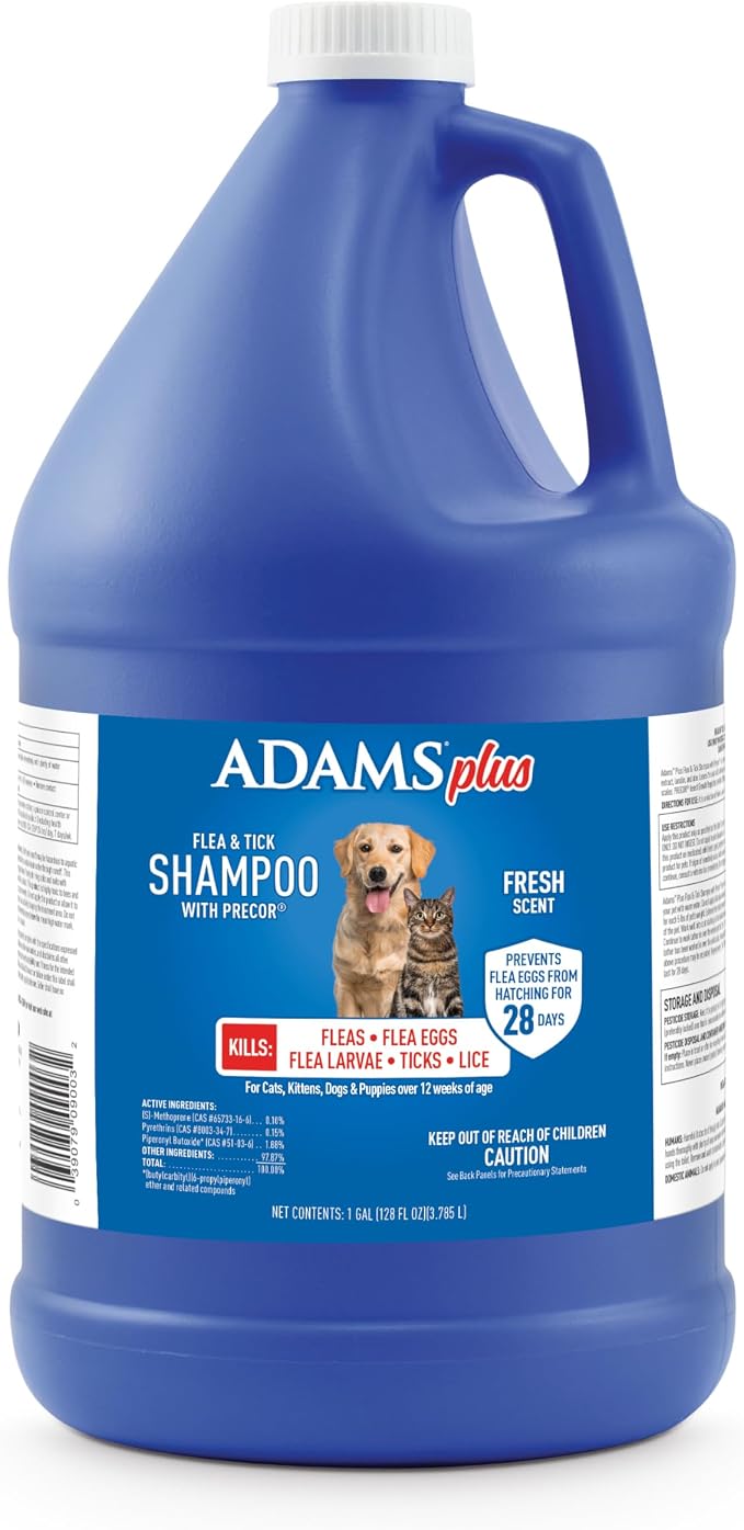 ADAMS Plus Flea & Tick Shampoo with Precor for Dogs, Cats, Puppies & Kittens, Flea Shampoo to Treat Infestations, Kills Ticks, Fleas, Flea Eggs & Lice, Cleans and Conditions Coat, 1 Gallon