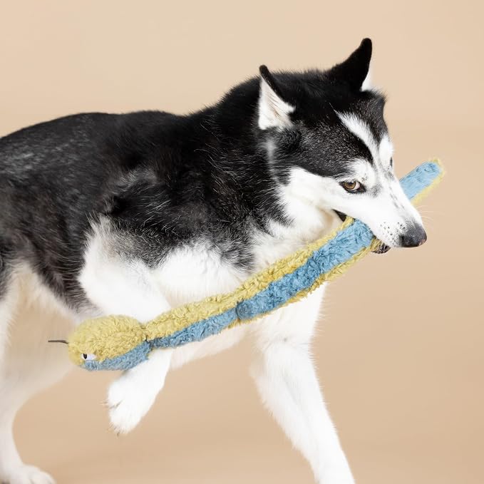 Fringe Studio Don't GET Wrapped UP 3D Earth Friendly Cotton Canvas Dog Toy, PetShop Collection (718009)