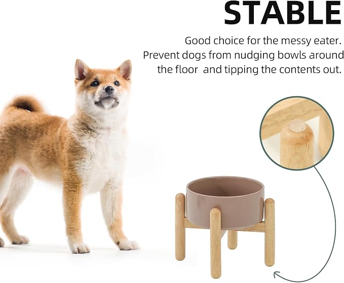Havniva 6.1inch Ceramic Raised Dog Bowl with Stand, Elevated Dog Bowls for Small and Medium Breed Dog Food and Water Bowl Non-Slip Dog Dish Large Capacity Feeding Pet Water Bowl