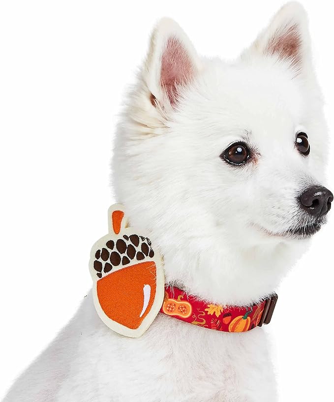 Blueberry Pet Thanksgiving Fall Pumpkin and Acorn Adjustable Dog Collar with Detachable Accessory, Large, Neck 18"-26"