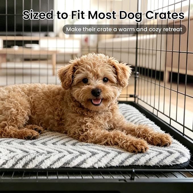 Mora Pets Cat Beds for Indoor Cats Washable Cat Mat Bed Flat Dog Crate Pad | Ultra Soft Cat Bed for Carrier, Puppy Crate Pad for Dog Cages Cozy Sleeping Liner, Small Cat Pillow Cushion Anti Slip 22 x 13