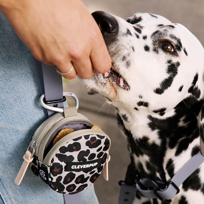 Snackpack Double Insulated Dog Treat Pouch – 1.5 Cup, 2 Pockets – Leopard