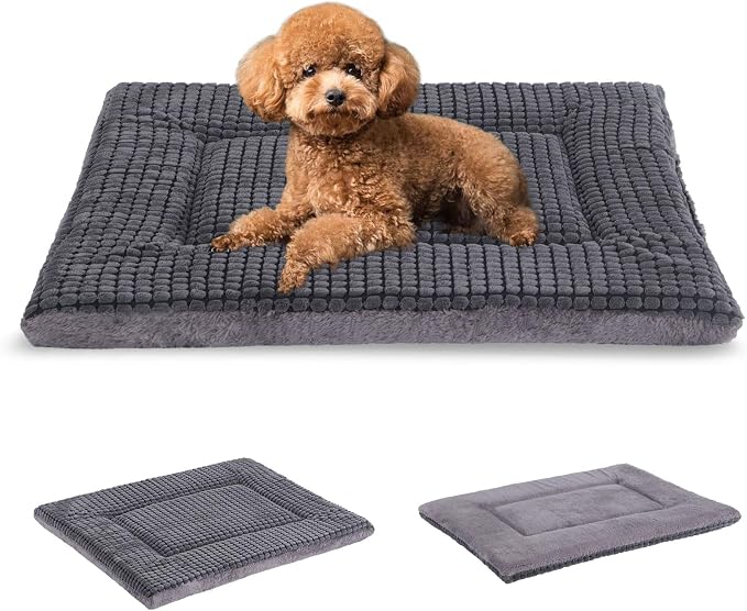 BVAGSS Reversible Dog Crate Pad, Memory Foam Pet Bed Mat, Soft Warm Machine Washable Sleeping Kennel Mattress for Small Medium Dogs XH079 (24''x18''x1.6'',Light Grey)