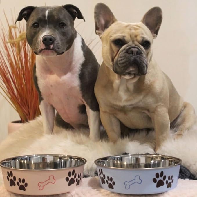 Loving Pets Bella Dog Bowls- Stainless Steel Dog & Cat Bowls - Spill Proof Dog Food Bowl, Cat Bowl, Puppy Essentials & Pet Supplies Great for Home & Travel (X-Large 65-100lbs, Murano Blue)