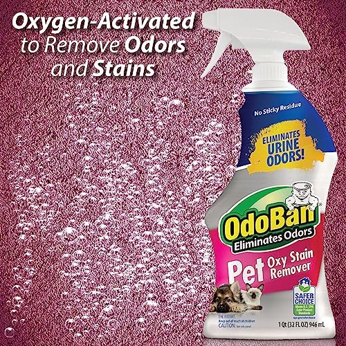 OdoBan Pet Solutions Oxy Stain Remover, Pet Stain Eliminator, 3-Pack, 32 Ounce Spray Each