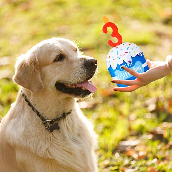Dansydaisy Dog Birthday Cake Toy Squeaky Plush Toy for Girl Boy Gifts, Chew Accessories for Dog Birthday Party Decor Favor for Large, Medium and Small Dogs(3rd,Blue)