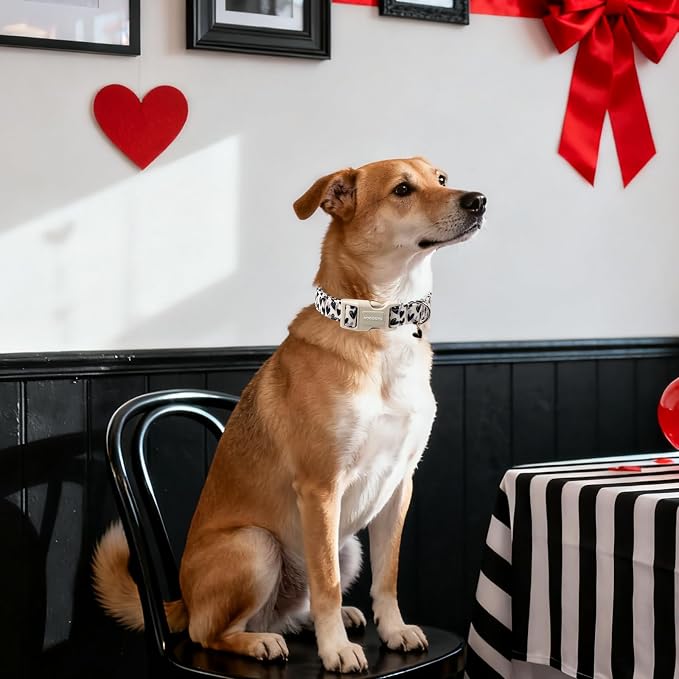 DOGWONG Valentine's Day Dog Collar-Cute Black Heart Dog Collars, Adjustable Valentine Heart Pet Collars Puppy Collar with Quick Release Buckle for Girl&Boy Dogs,XL