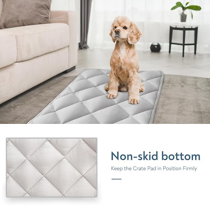 Dog Crate Pad 2 Pack (30" x 19"), Dog Crate Mat with Anti-Slip Bottom, Grey | Fits 30 Inch Crate, Soft, Machine Washable, Kennel Pad