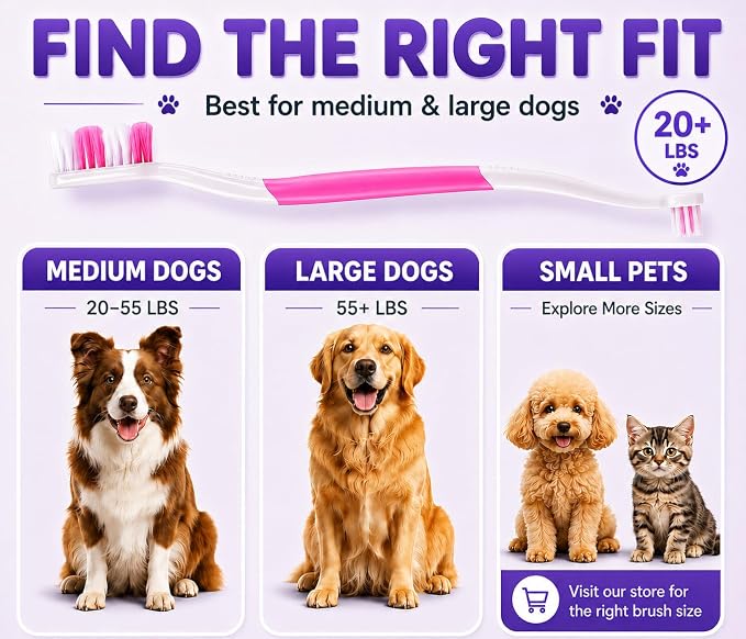 Dog Toothbrush, Dual-Head, for Medium-Large Dogs,Pink | Soft Bristles for Gentle Cleaning, 60° Curved Bristles for Better Coverage, Comfortable for Sensitive Gums