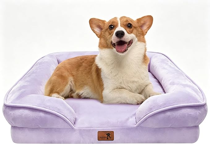 Spotted Play Orthopedic Dog Bed with Sides - Sofa Beds for Medium Dogs, Supportive Foam Pet Couch Bed with Washable Removable Cover, Waterproof Lining and Non-Slip Bottom, Purple - M