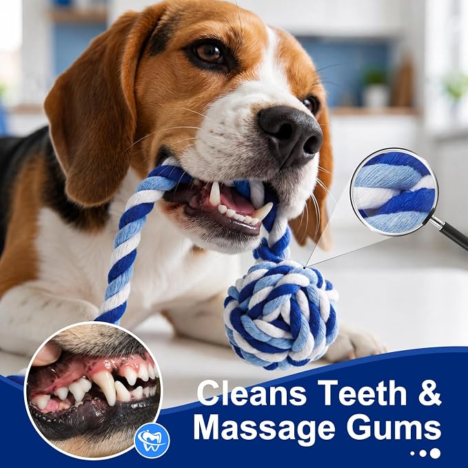 Dog Rope Toys 4 Pack for Small Dogs & Puppies - Cotton Knot Teething Chew Dog Toy, Interactive Tug of War Set for Boredom Relief, Teeth Cleaning, Indoor/Outdoor Play - Blue