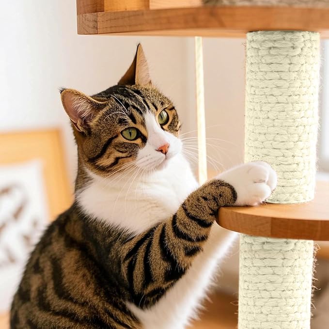 Sisal Rope for Cat Scratcher 1/4" 50 Ft Cat Tree Twine for Repairing Cat Scratching Post Replacement DIY Hemp Rope for Carpet Mat, Pet, and Crafts Gardening Home Decorating