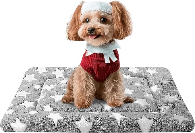 Dog Bed Mat, Reversible Crate Pad, Machine Washable for Small Dogs | Ultra soft plush, dual-sided cool/warm, machine washable kennel mat for small dogs, cute travel bed