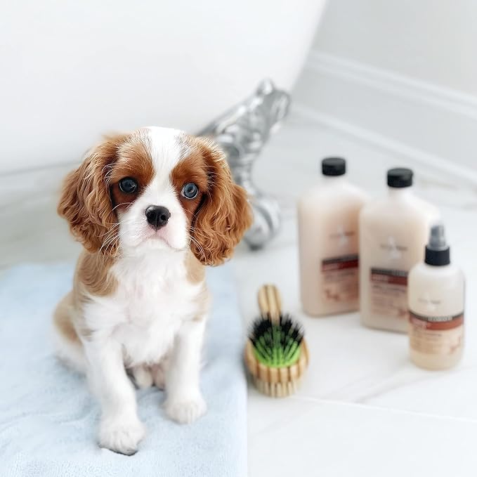 Everyday Isle of Dogs Silky Coating Dog Shampoo for Yorkies,Beagles and Spaniels (16.9 oz/Jasmine and Vanilla)