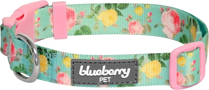 Blueberry Pet Mint Tropical Dog Collar, Adjustable Medium Size, Neck 14.5”-20”, Printed Pet Collar for Medium Dogs