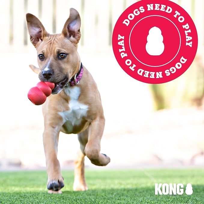 KONG - ZoomGroom - Dog Brush for Grooming and Shampooing - Red Brush for Large Dogs