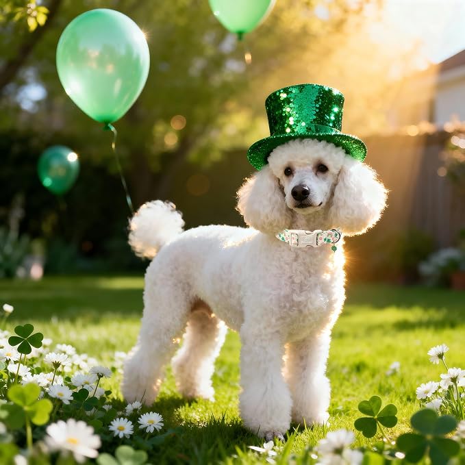St. Patrick's Day Dog Collar for Medium Dogs - Cute Shamrock & Rainbow Print Dog Collars, Irish Green Party Puppy Collar, Lightweight Adjustable St. Patricks Day Pet Collars M