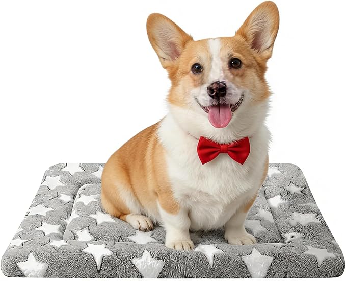 Dog Bed mat Machine-Washable Dog cage mat Gray Star（30x20x1.5in） | Soft reversible design with non-slip bottom, machine washable, lightweight, ideal for crates, travel, and home
