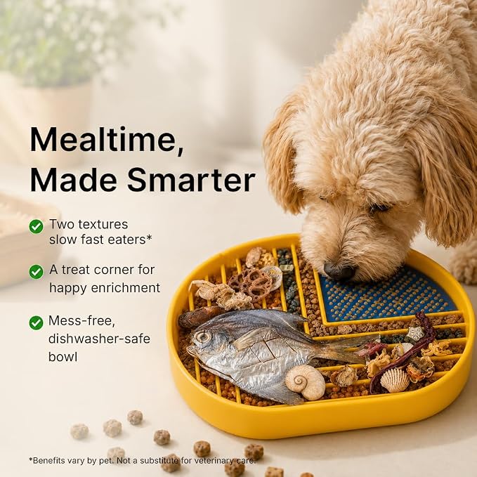 Snack Dish Slow Feeder Bowl for Dogs & Cats – Dual Pattern Design with Treat Corner, Mess-Free Feeding, Dishwasher Safe | Kubi Pets