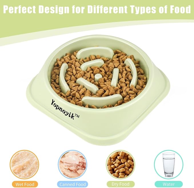 2 Pack Slow Feeder Dog Bowls for Healthy Eating, Non-Slip and Anti-Choking Design, Reduces Bloating & Overeating for Medium Dogs and Cats, Easy to Clean