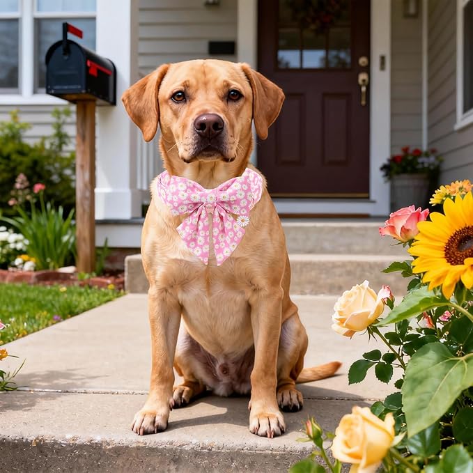 DOGWONG Spring Dog Collar with Sailor Bow, Soft Comfortable Adjustable Cute Pink Daisy Collar Flower Dog Collars for Small Dogs, M