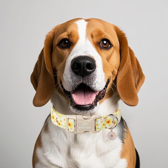 Adjustable Floral Dog Collar, Yellow Sunflower&Butterfly Dog Collars for Giant Large Dogs, Lightweight Quick-Release Buckle Collar for Boy&Girl Dogs XL