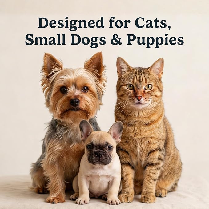 Jasper Microbrush Vet Approved Cat Toothbrush, Soft-Bristled Toothbrush Kit for Felines & Small Dogs, Non-Slip Handle with 2 Replaceable Tooth Brush Heads, Use with Cat Toothpaste, 2-Pack, Blue