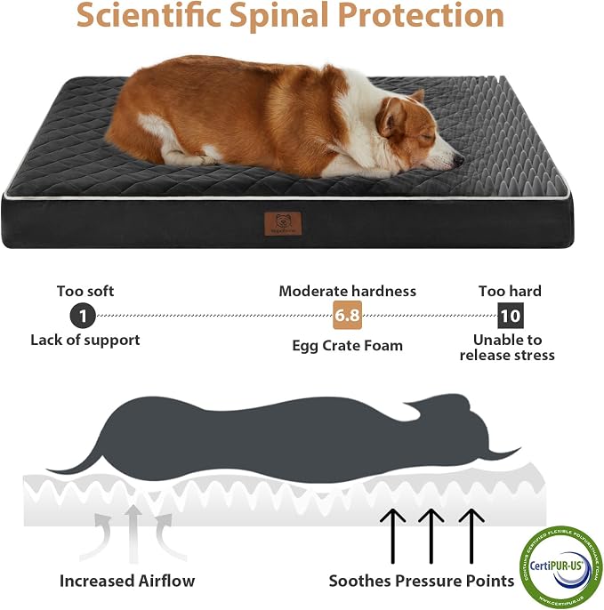 WNPETHOME Orthopedic Waterproof Large Dog Bed for Crate Cozy Sleep | Washable Large Pet Bed with Removable Cover, Multi-Needle Quilting Dogs Crate Beds Black 35x22 Inch