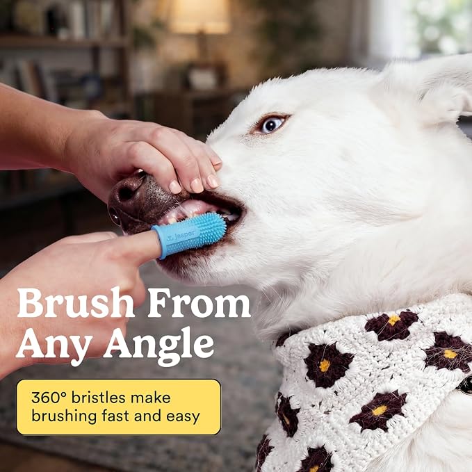 Jasper Dog Toothbrush, 360 Dog Tooth Brushing Kit, Finger Toothbrush, Cat Tooth Brush, Teeth Cleaning, Pet Tooth Brush for Small & Large Pets, Pet Toothpaste Not Included, 2-Pack Blue