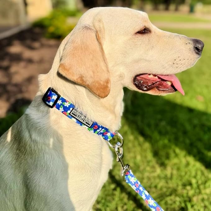 Lucky Love Dog - Easy Click Buckle Dog Collar with Leash Set Combo, Durable & Comfortable for Male & Female Dogs, Pet Collar for Medium Dogs, Secure Fit - Lilian Combo, Medium