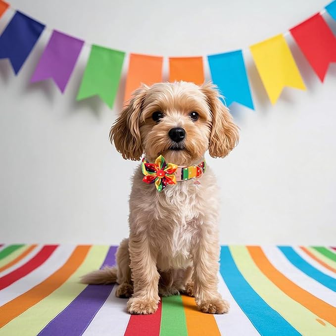 DOGWONG Rainbow Dog Collar with Flower for LGBT Pride Month - Adjustable and Comfortable LGBT Pride Dog Collar for Large Medium Small Pet