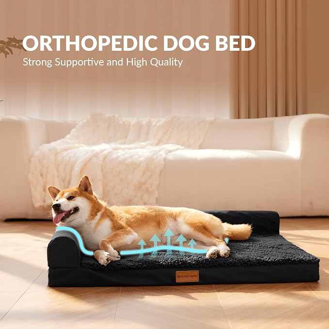 Patas Lague Orthopedic Large Dog Bed Washable Pet Sofa Bed 36''X24'' Black | 2-Sided Bolster Egg-Crate Foam Dog Couch Large Sized Dogs, Waterproof Removable Washable Cover, Nonskid Bottom Pet Crate Mat
